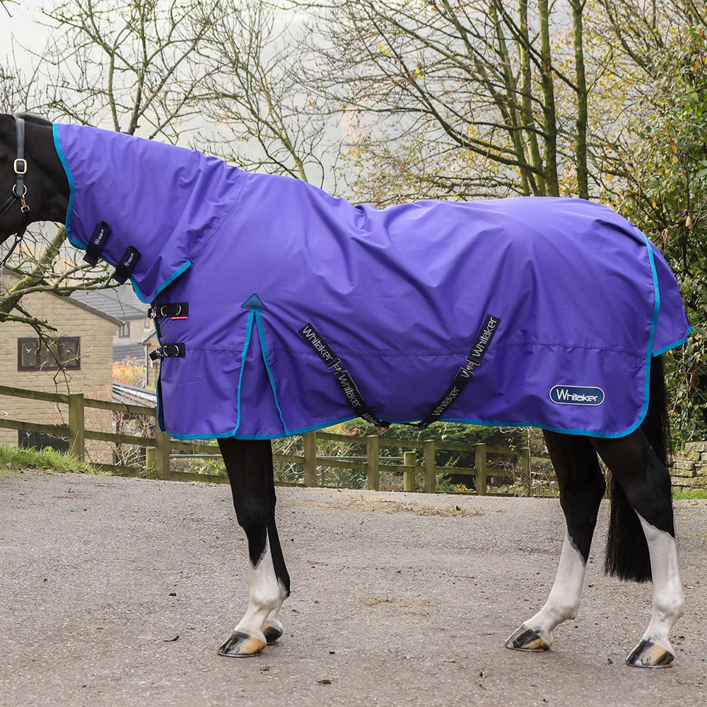 Whitaker Rastrick V2 0g Fixed Neck Turnout Rug #colour_purple