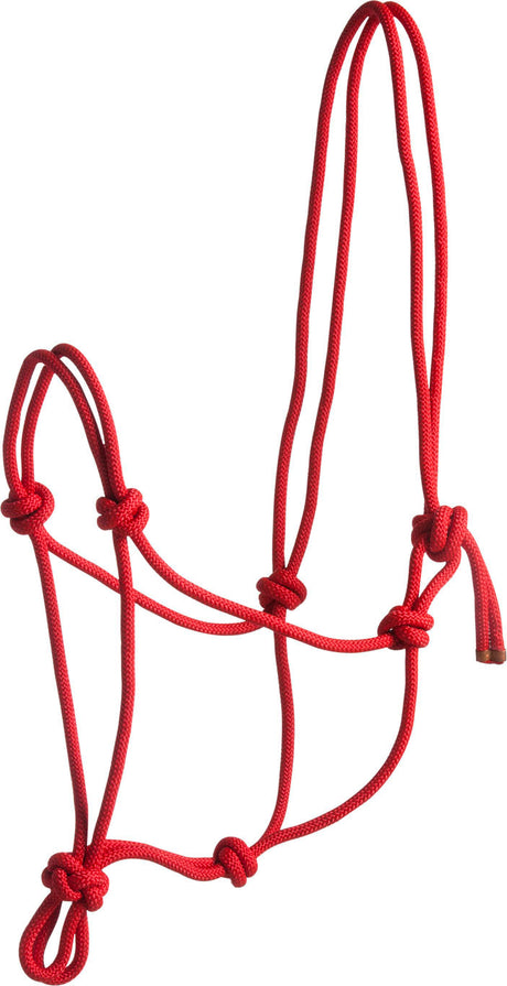 Norton First Rope Headcollar #colour_red