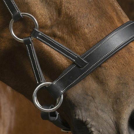 Norton Pro Confort Side-Pull