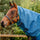 Horseware Ireland Rhino Turnout Hood 0g #colour_navy-aqua-grey