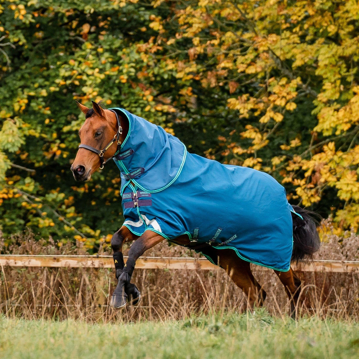 Horseware Ireland Rhino Turnout Hood 0g #colour_navy-aqua-grey