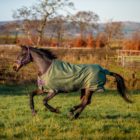 Horseware Ireland Amigo Hero Ripstop Lite 0g #colour_bramble-winterberry-taupe