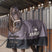 HV Polo Essential 0g Turnout Rug #colour_stone