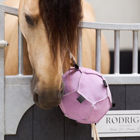 Imperial Riding Volley Up Horse Ball #colour_ballerina