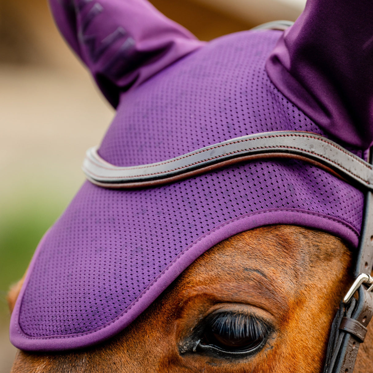 Horseware Ireland Amigo Ear Net #colour_winterberry