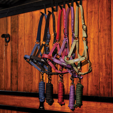 Horseware Ireland Amigo Headcollar & Leadrope Set