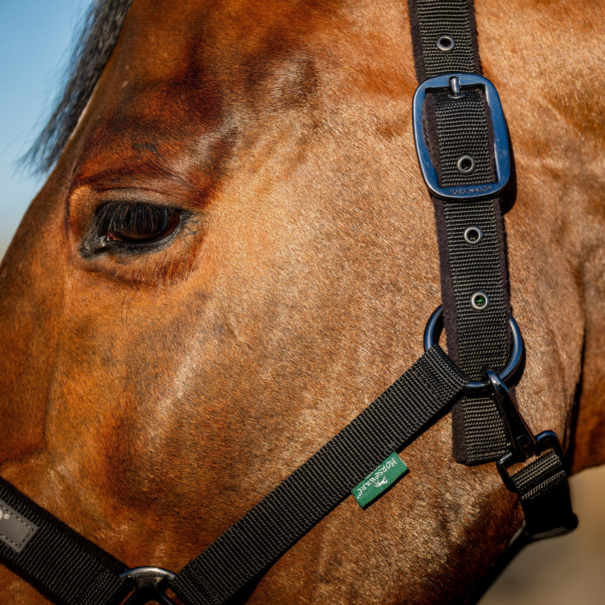 Horseware Ireland Amigo Headcollar & Leadrope Set #colour_black