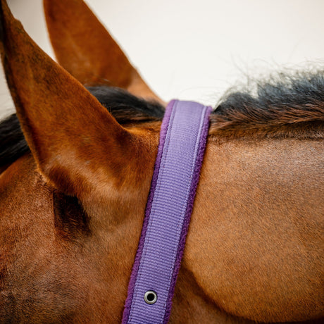 Horseware Ireland Amigo Headcollar & Leadrope Set #colour_winterberry