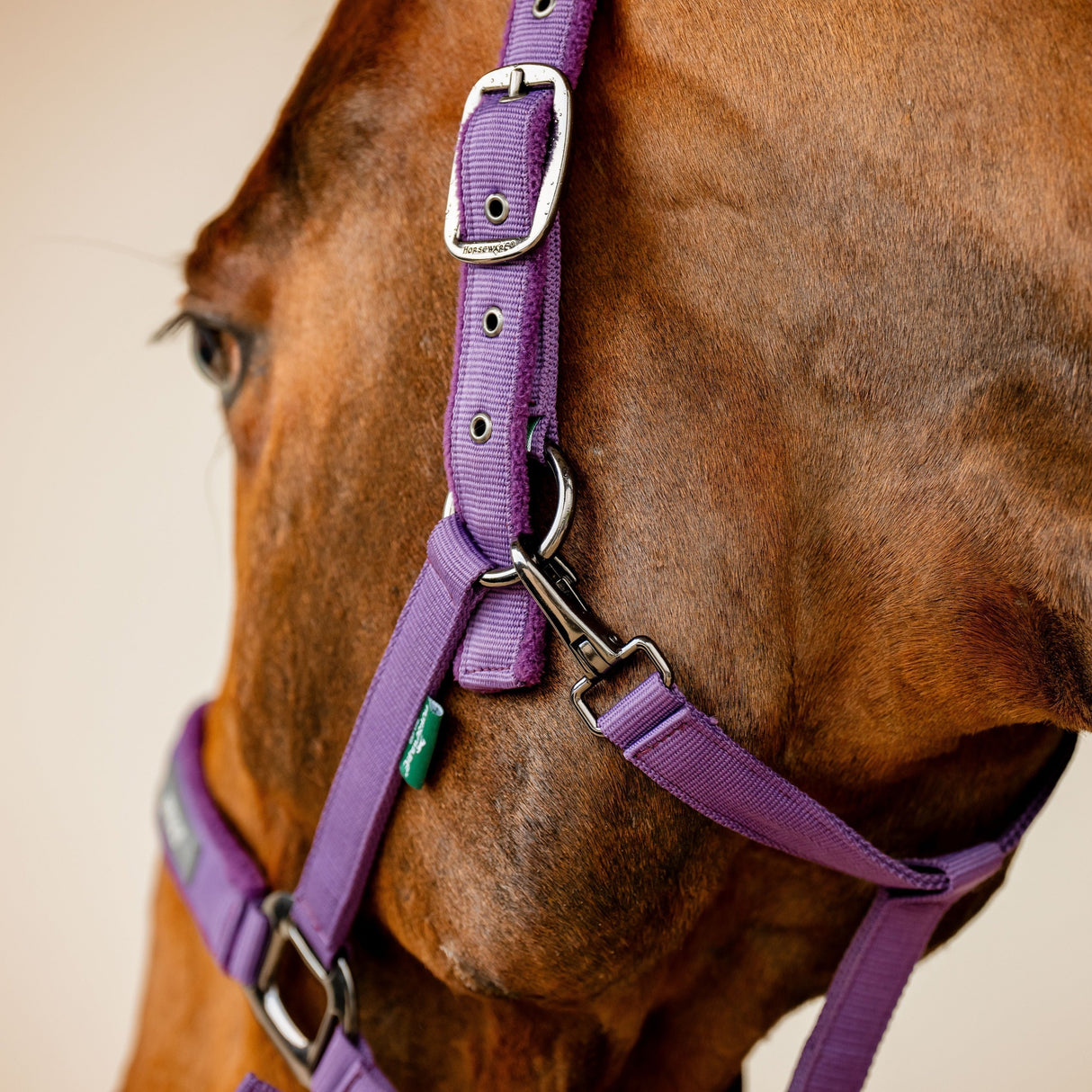 Horseware Ireland Amigo Headcollar & Leadrope Set #colour_winterberry