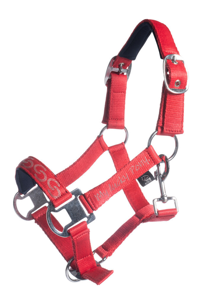 HKM Head Collar -Aymee- #colour_red