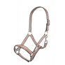 Licol HKM -Linz-