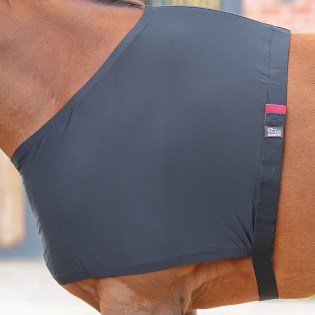 Shires Anti-Rub Stretch Vest #colour_black