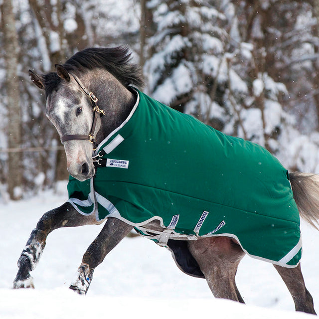 Horseware Ireland Rambo Original 400g Turnout Rug with Leg Arches #colour_green-silver