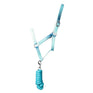#colour_teal