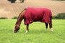 JHL Essential Lightweight Plus Turnout Rug
