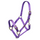 Shires ARMA Adjustable Headcollar #colour_purple