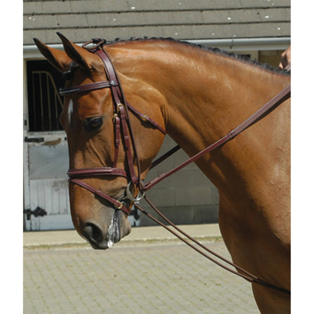 John Whitaker Training Rein