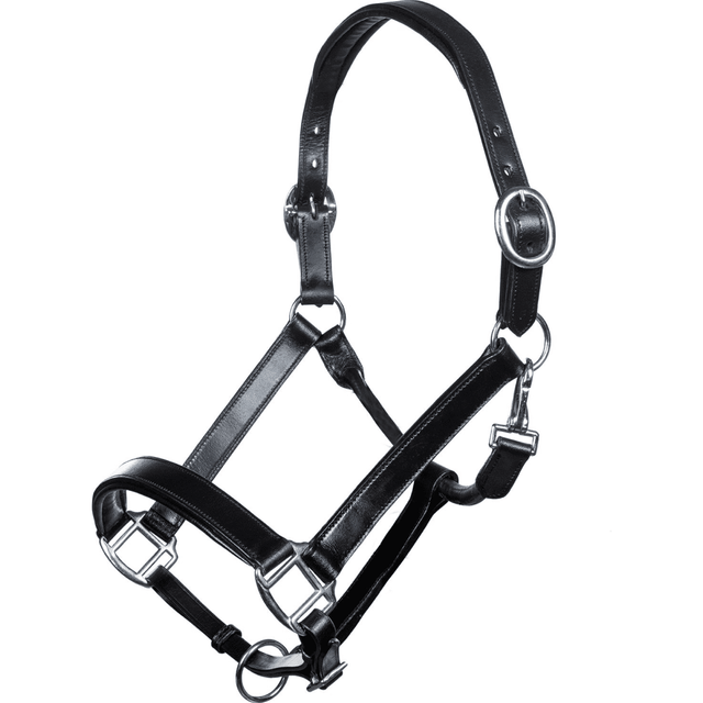 HKM Economic Leather Head Collar #colour_black