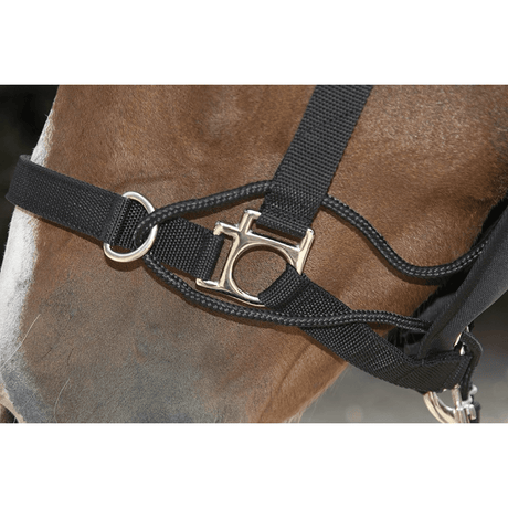 HKM Safe Control Style Head Collar #colour_black