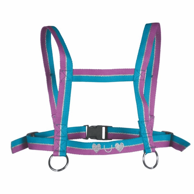 HKM Funny Horses Harness #colour_purple-aqua-silver