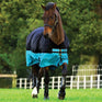 #colour_black-turquoise