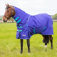 Shires Highlander Original 50g Turnout Rug & Neck #colour_royal