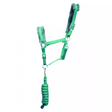 Hy Sport Active Head Collar & Lead Rope #colour_spearmint-green-grey